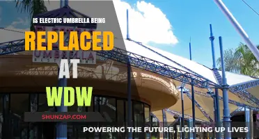 Electric Umbrella's Future: Replacement or Renovation at WDW?