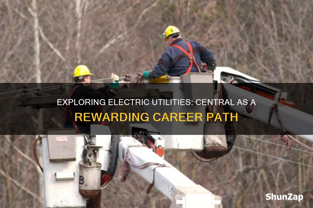 is electric utilities: central a good career path