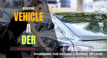 Electric Vehicles: The Future or a Costly Detour?