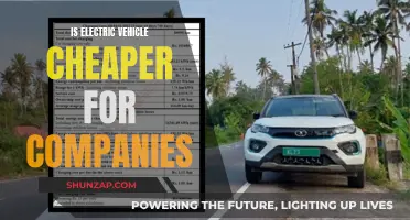 Electric Vehicles: Cheaper Company Options?