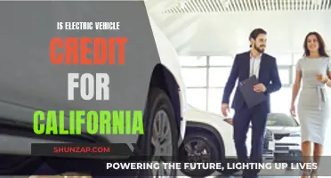 California's Electric Vehicle Incentives: What You Need to Know