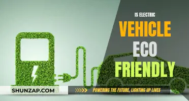 Green Revolution: Are Electric Vehicles the Eco-Friendly Choice?