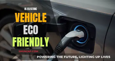 Electric Vehicles: Eco-Friendly or Not?