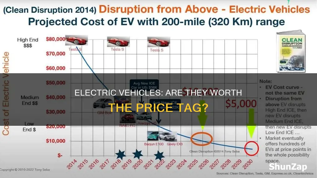 is electric vehicle expensive