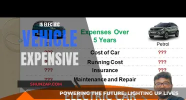 Electric Vehicle Costs: Are They Worth the Price?