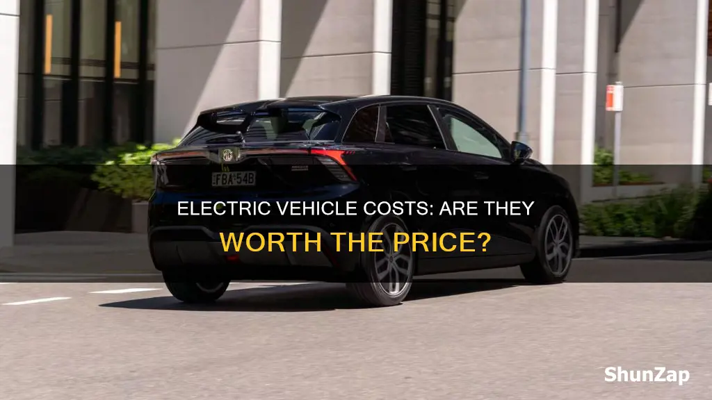 is electric vehicle expensive