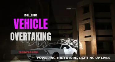 Electric Vehicles: The Future of Driving?