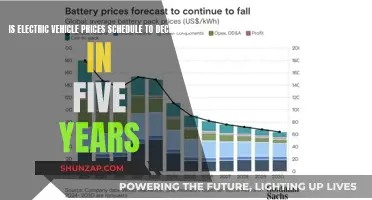 EV Revolution: Will Prices Drop in 5 Years?