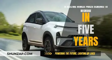 Electric Vehicle Prices: Future Forecast and Affordability