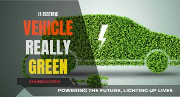 The Green Promise of Electric Vehicles: Unveiling the Reality