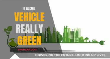 Electric Vehicles: Green Revolution or Greenwashing?