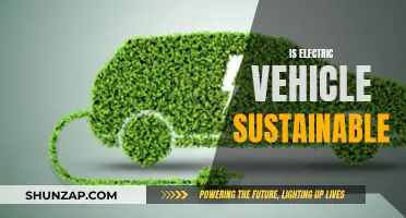 The Green Revolution: Are Electric Vehicles the Ultimate Sustainable Choice?