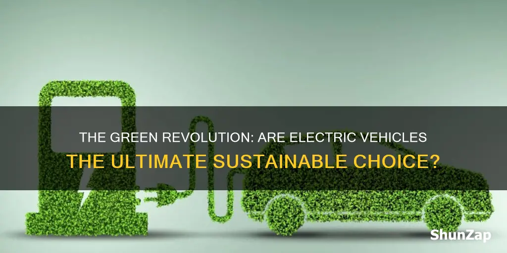 is electric vehicle sustainable