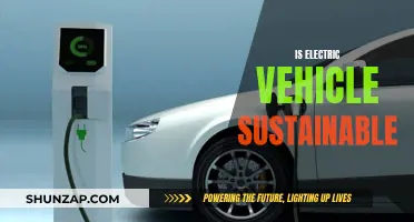 Electric Vehicles: Sustainable Future or Greenwashing?