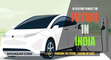 India's Electric Revolution: Is the Future Green?