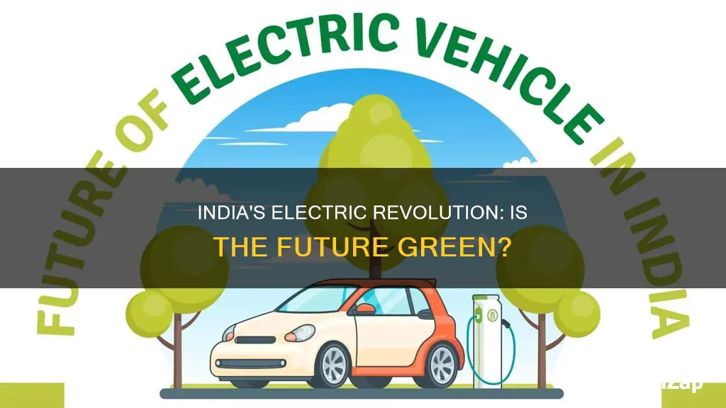 is electric vehicle the future in india