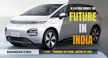 Electric Vehicles: India's Future on the Road?