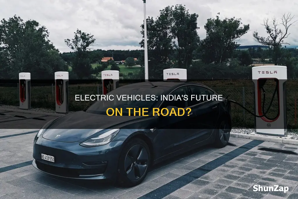 is electric vehicle the future in india