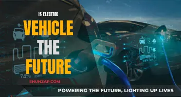 The Electric Revolution: Is the Future Green?