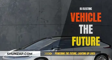 Electric Vehicles: The Future of Sustainable Transportation