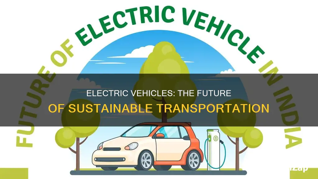 is electric vehicle the future