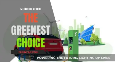 Electric Vehicles: Green Revolution or Greenwashing?