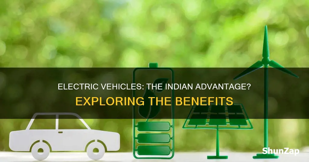 is electric vehicle worth it in india