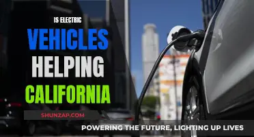 California's Electric Revolution: A Green Future or a False Promise?