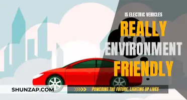 Electric Vehicles: Green Revolution or Greenwashed Myth?