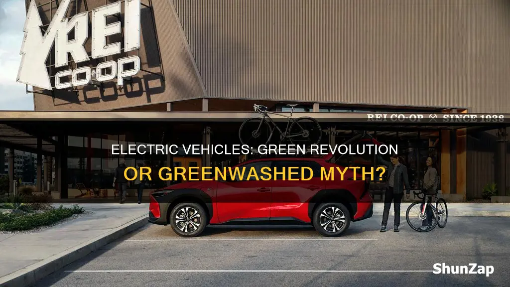 is electric vehicles really environment friendly