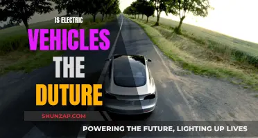 Electric Vehicles: The Future of Sustainable Transportation?