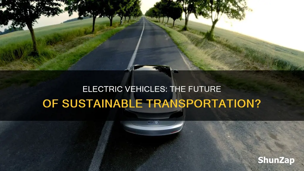 is electric vehicles the duture