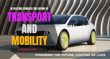 Electric Vehicles: Transforming Transport and Future Mobility