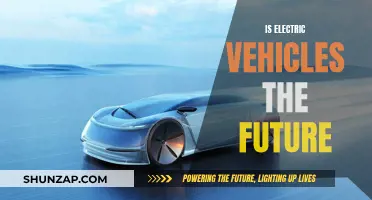 The Future of Transportation: Electric Vehicles Take Center Stage