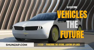 Electric Vehicles: The Future of Sustainable Transportation?