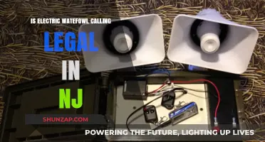 Electric Waterfowl Calling: Is It Legal in New Jersey?