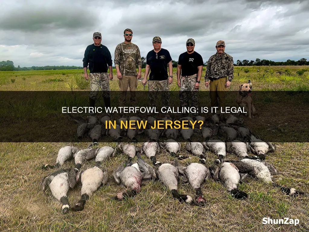 is electric watefowl calling legal in nj