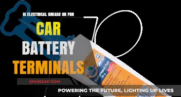 Is Electrical Grease Safe for Car Battery Terminals? Expert Insights