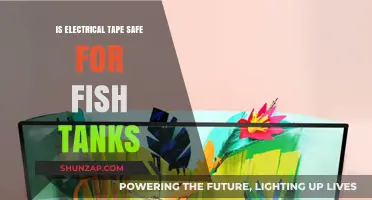 Electrical Tape and Fish: Safe or Not?