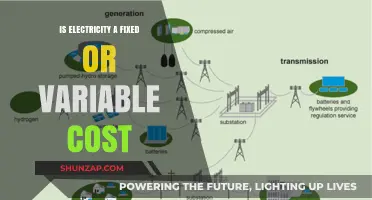 Electricity Costs: Fixed or Variable?