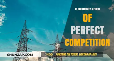 Electricity and Competition: A Perfect Match?