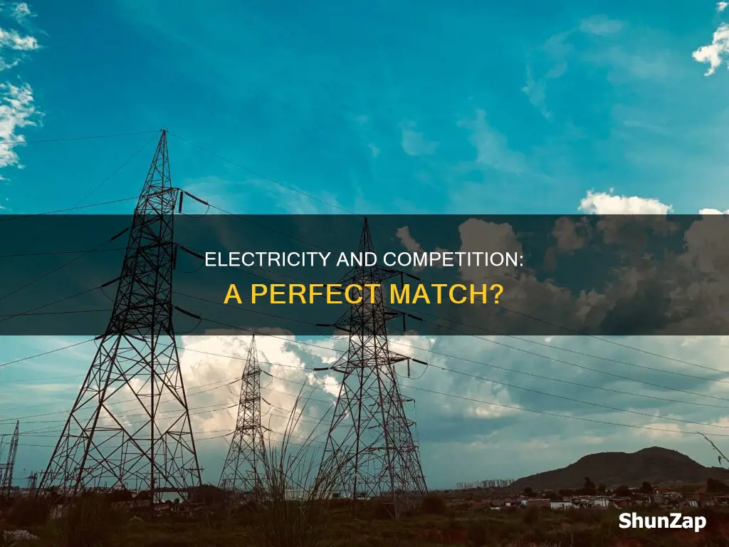 is electricity a form of perfect competition