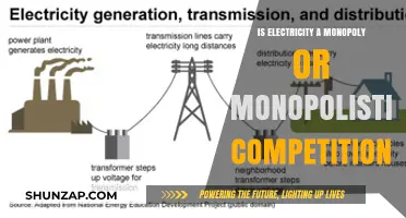 Electricity: Monopoly or Competitive Market?
