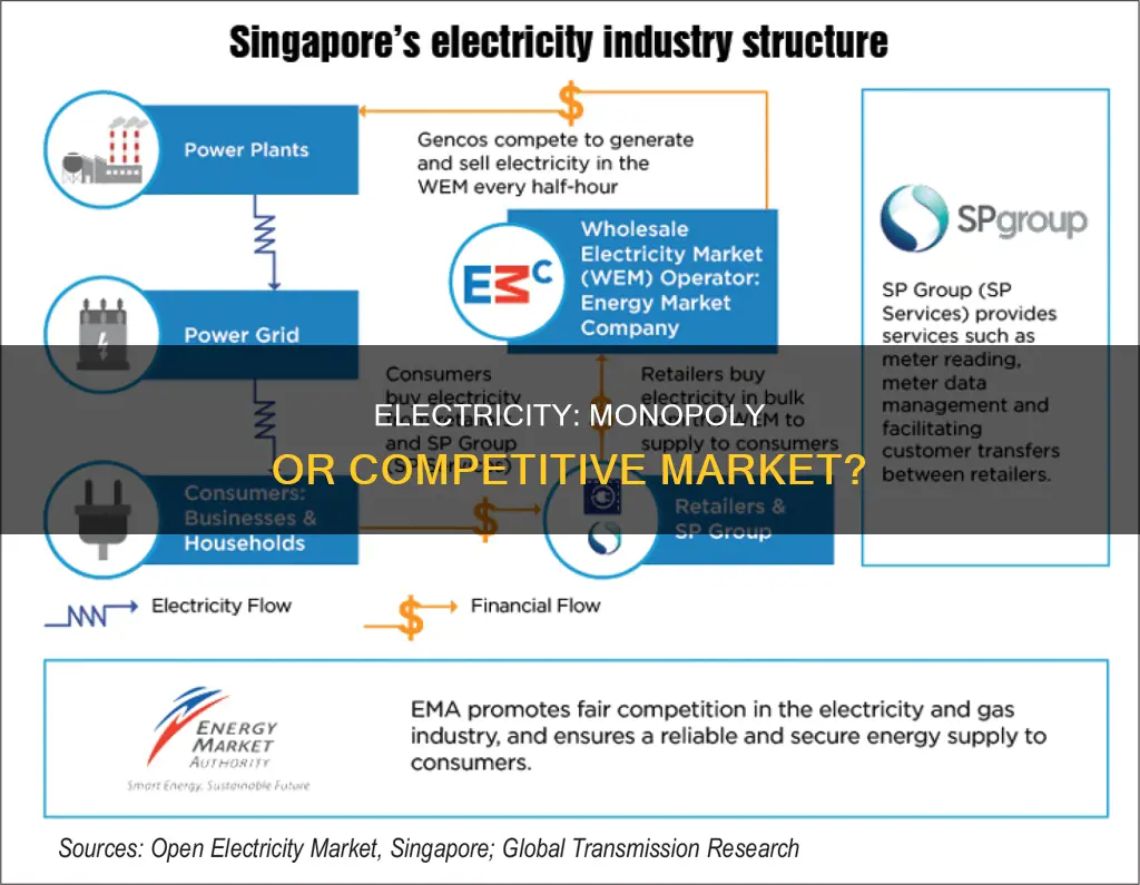 is electricity a monopoly or monopolistic competition