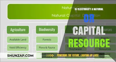 Electricity's Resource Classification: Natural or Capital?