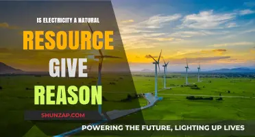 Electricity: A Natural Resource? The Reason Why