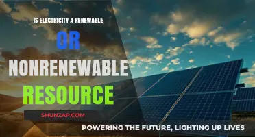 Electricity: A Renewable or Nonrenewable Resource?