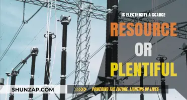 The Power Dilemma: Is Electricity Plentiful or Scarce?