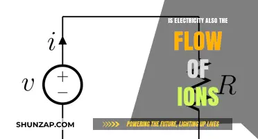 Electricity: The Flow of Ions and Their Superpowers