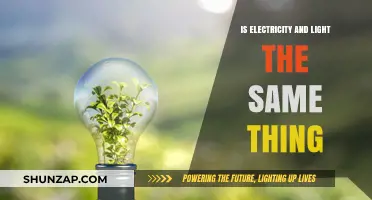 Electricity and Light: What's the Difference?